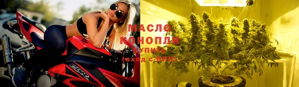 СК Богородск