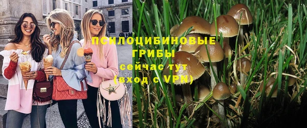таблы Бородино