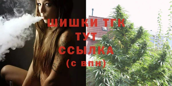 таблы Бородино