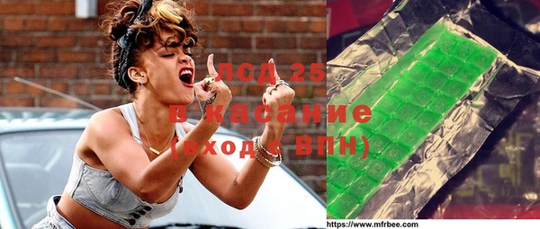 таблы Бородино