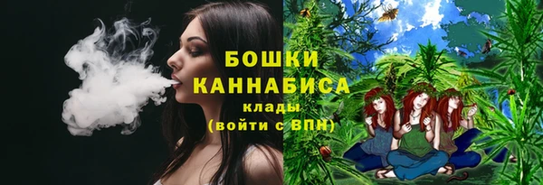 таблы Бородино