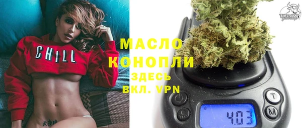 таблы Бородино